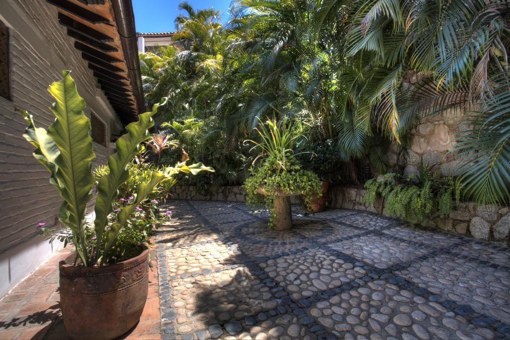 Villa Celeste Puerto Vallarta Buitenkant foto